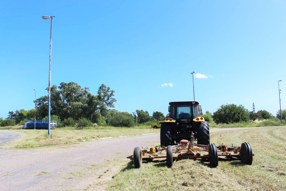 Se Realizan Trabajos De Desmalezamiento En La Ruta La Voz De Bragado