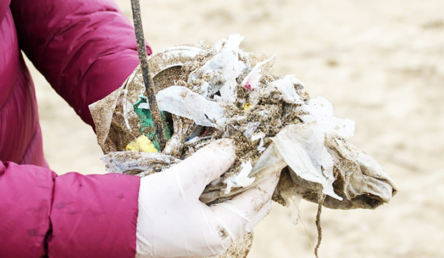 Contaminación en las playas bonaerenses: más del 84 % de los residuos son plásticos