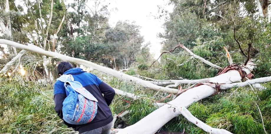 Más de 20 localidades afectadas por el fuerte temporal