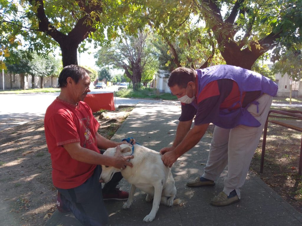 Campaña de vacunación antirrábica canina y felina