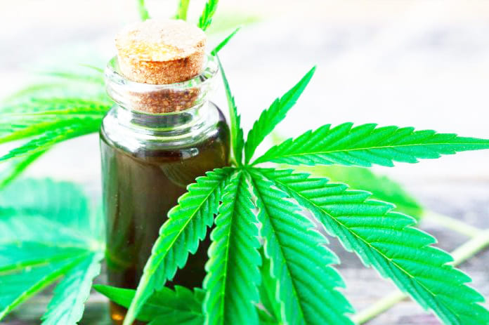 Cannabis: legalizan la compra de semillas para cultivos con fines medicinales