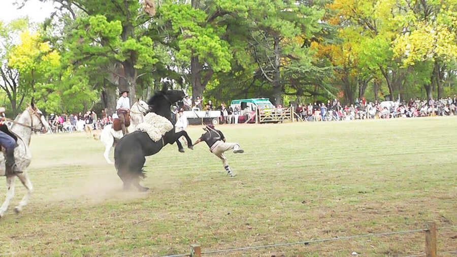 Excelente jornada de domingo en el Abel Figuerón-Tuvo lugar en el predio que la Comisión de la Fiesta Nacional del Caballo posee