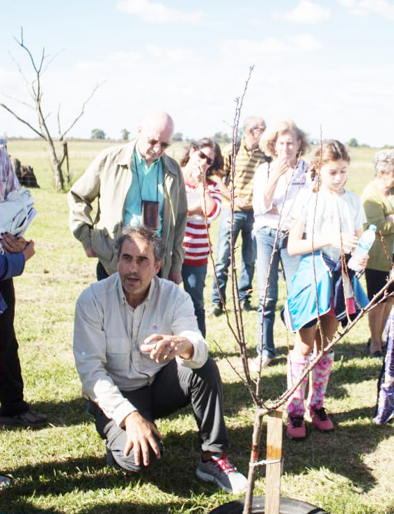 Taller de manejo de árboles frutales se desarrollará este Miércoles