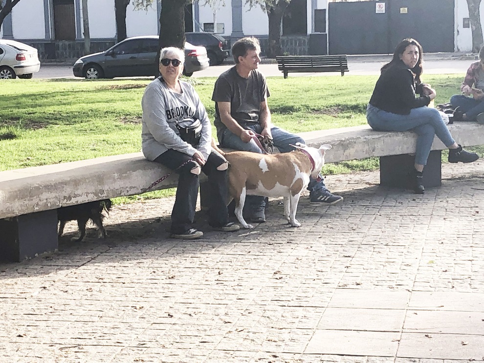 FUNDAPAB promovió la tenencia responsable de mascotas con una exitosa Caminata Canina