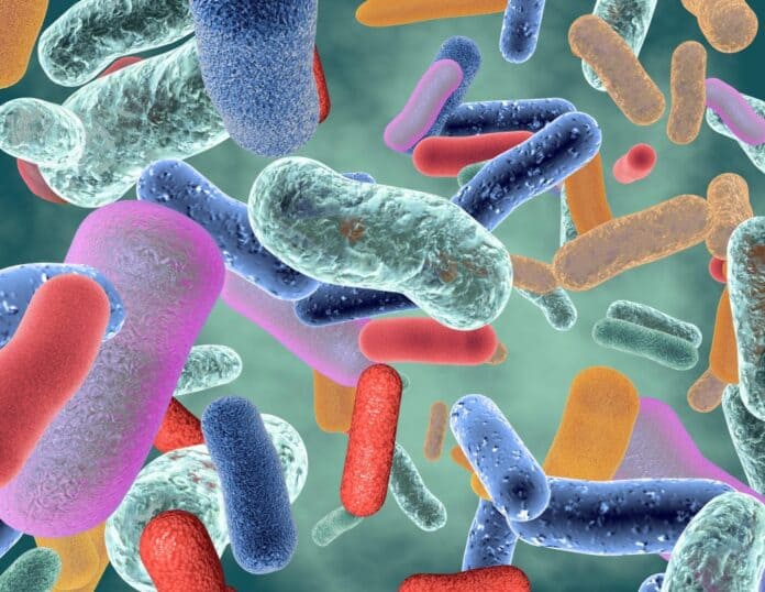 Cinco claves para desarrollar y mantener una microbiota saludable