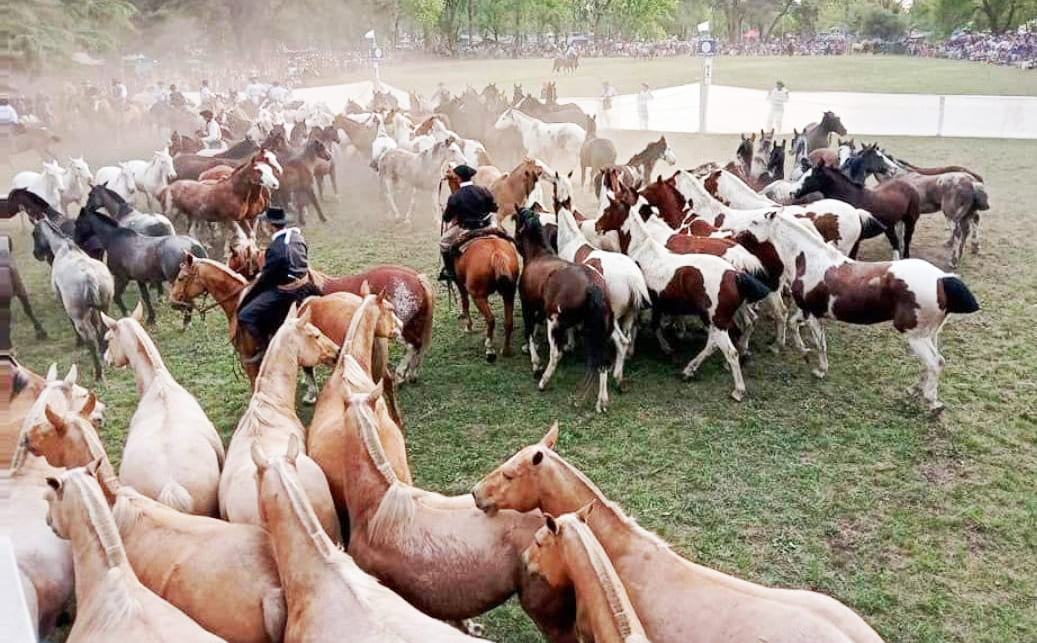 Danza y destreza en la Fiesta del Caballo durante la jornada del sábado