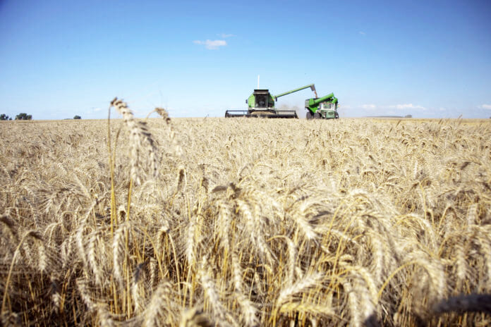 Las lluvias mejoraron las perspectivas del campo en toda la provincia