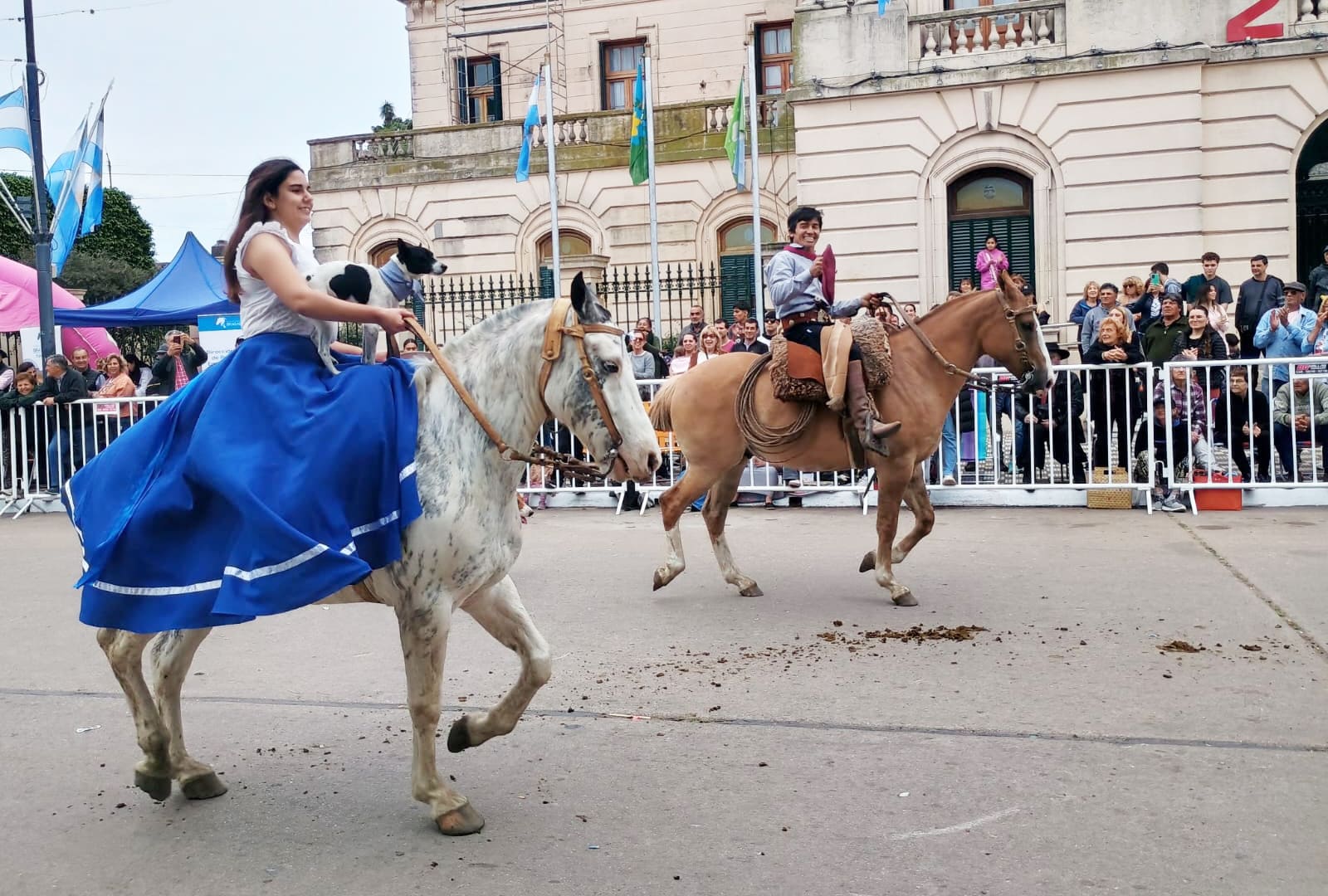 El Paseo Criollo y la jineteada galardonaron el domingo en la Fiesta del Caballo