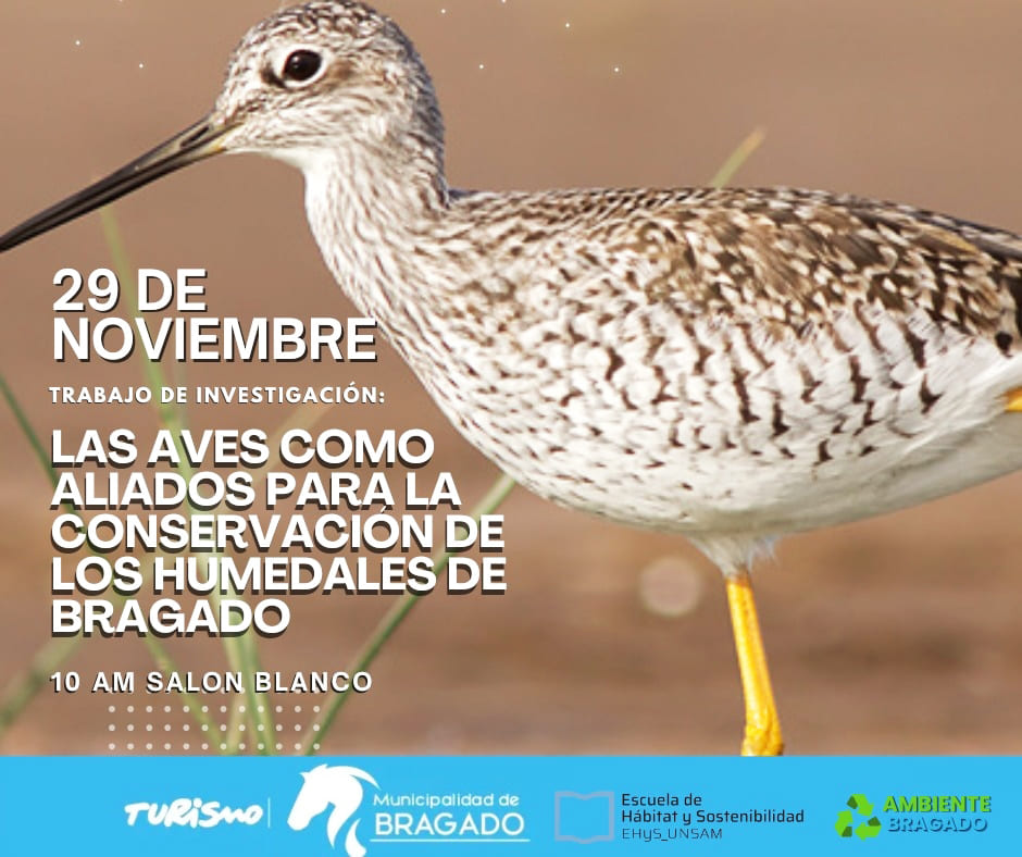 “Las aves como aliados para la conservación de los humedales”