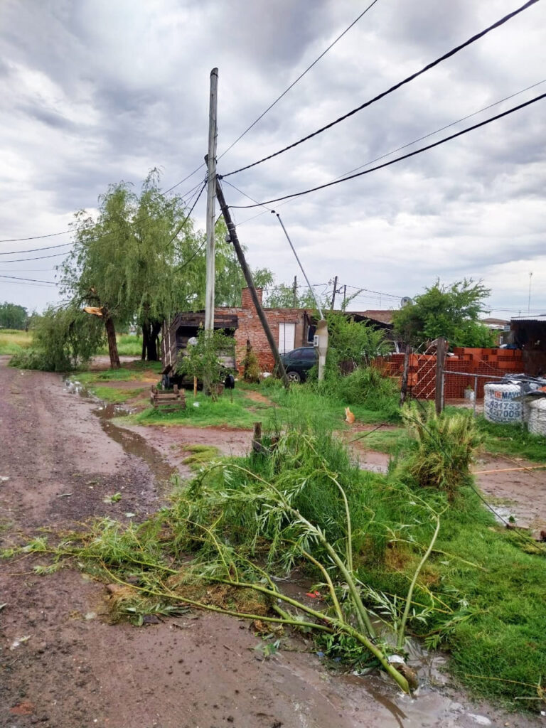 EDEN informa sobre la interrupción del servicio