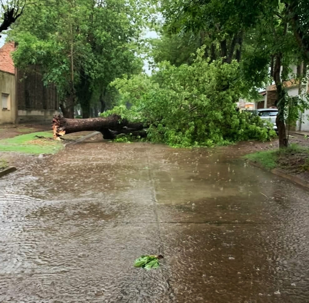 Importantes daños provocó la intensa tormenta de ayer