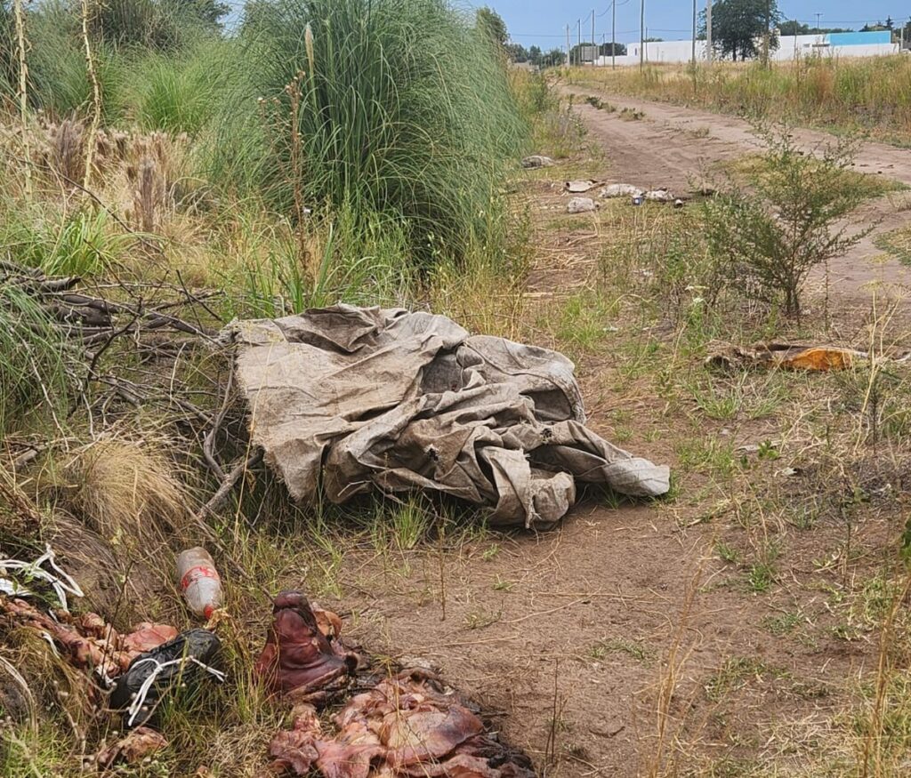 ALERTAN SOBRE RESIDUOS DE MATANZAS DE ANIMALES EN LA CIUDAD