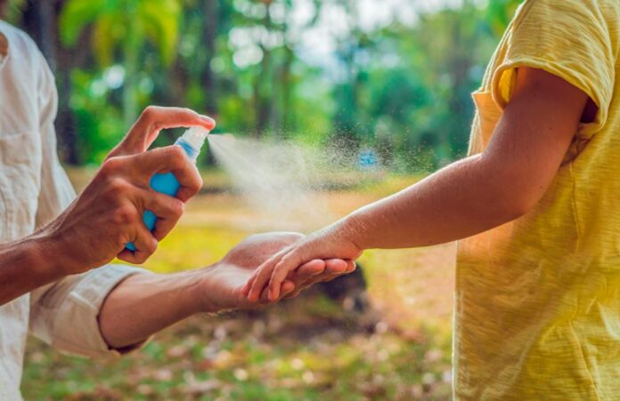 Dengue: alertan que febrero y marzo son los meses de mayor circulación del mosquito Aedes aegypti