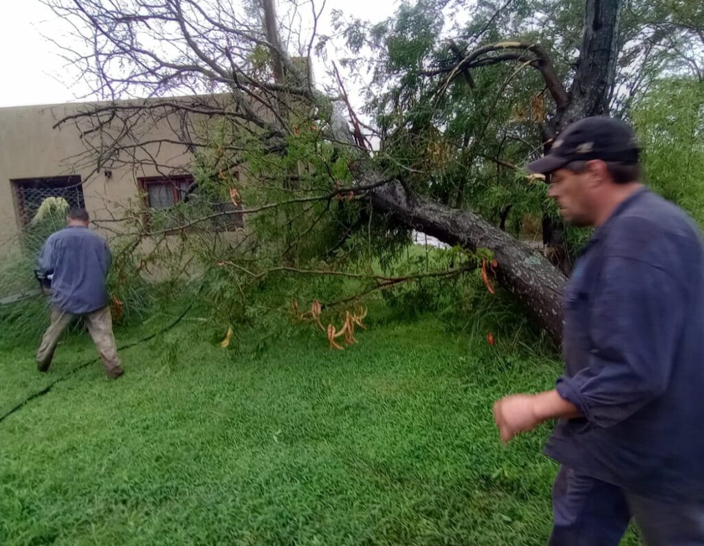 Alexis Camús informó sobre los efectos de la tormenta en las localidades