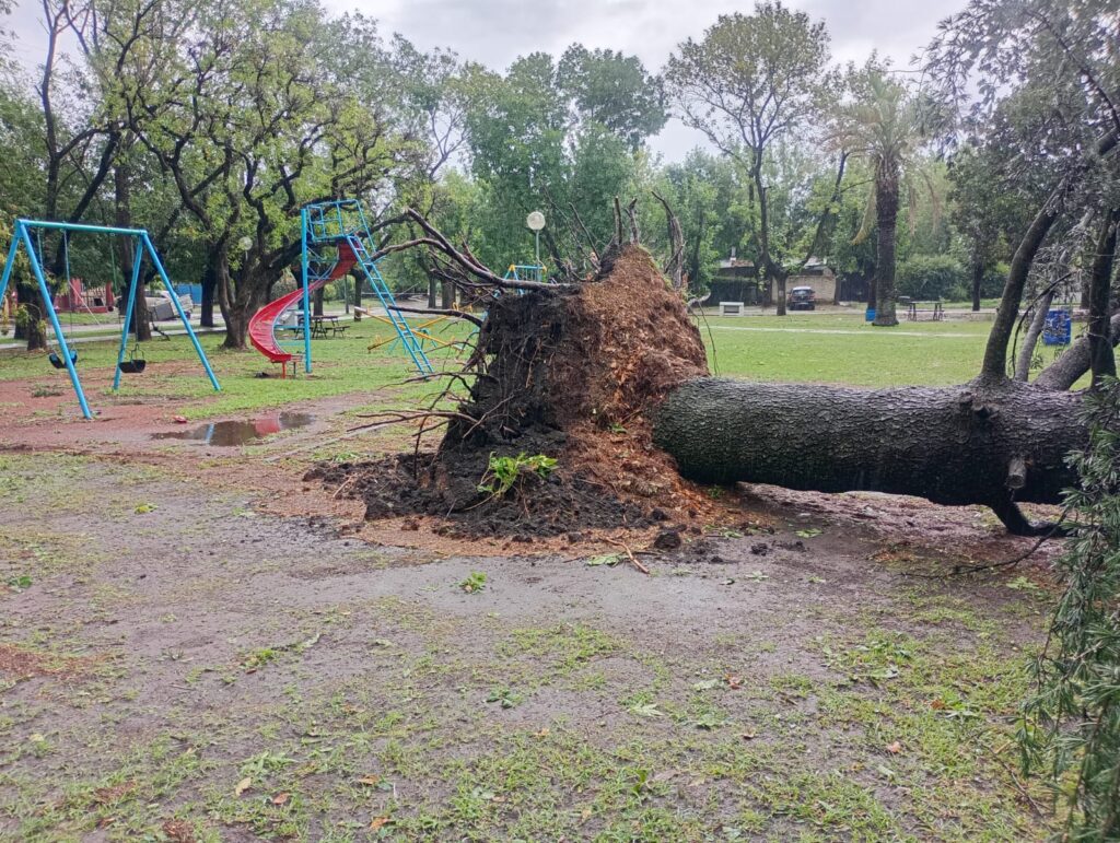 Alexis Camús informó sobre los efectos de la tormenta en las localidades