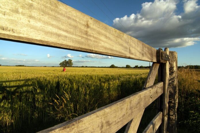 La Provincia eximió del Inmobiliario Rural a productores de seis municipios