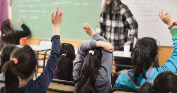 Educación: carta abierta para reflexionar sobre las violencias sociales que irrumpen en la escuela