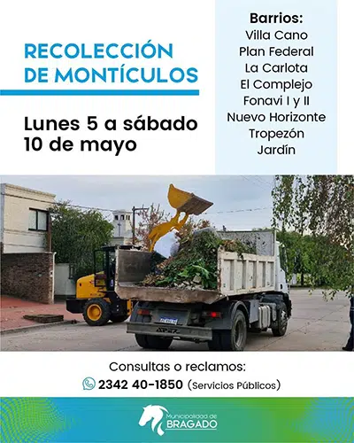 RECOLECCIÓN DE MONTICULOS