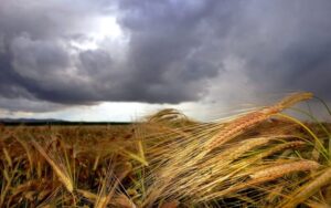 tormenta-campo-696x435