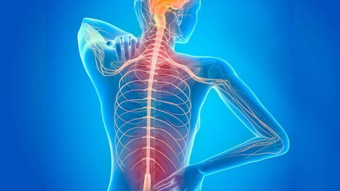 Esclerosis múltiple: destacan las demoras en los accesos  al diagnóstico y el tratamiento
